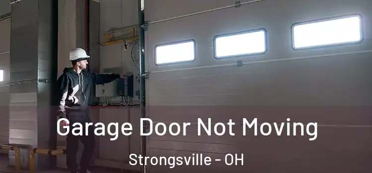  Garage Door Not Moving Strongsville - OH