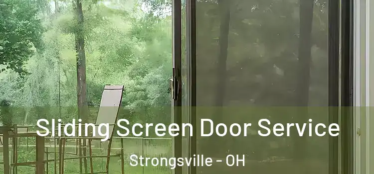 Sliding Screen Door Service Strongsville - OH